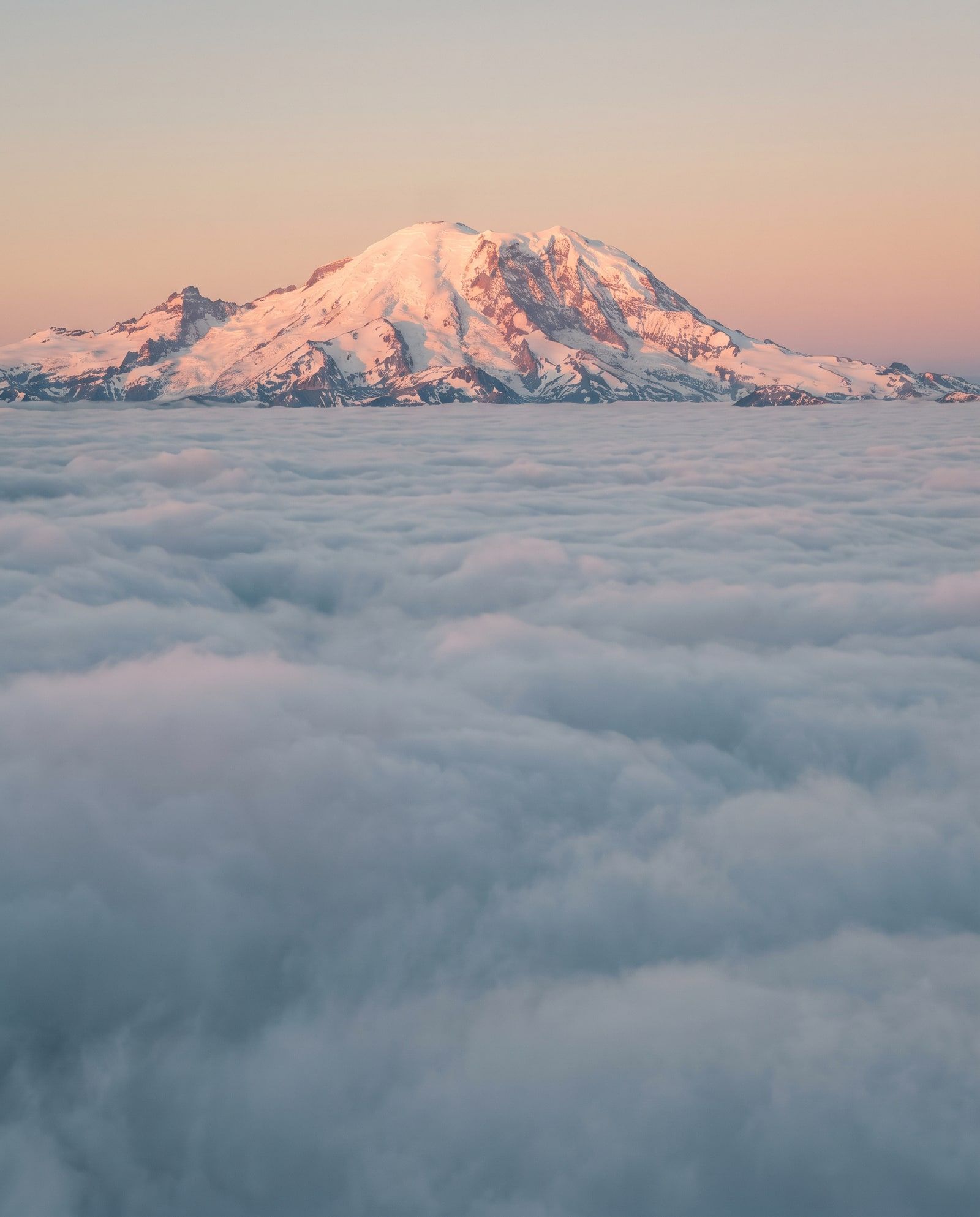 A snow-capped mountain peak in warm first light rising above a sea of clouds.